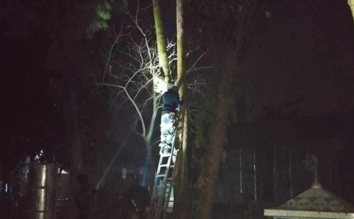 বিজিবির প্রতিবাদে কুড়িগ্রাম সীমান্তে বিএসএফের সিসিটিভি ক্যামেরা অপসারণ