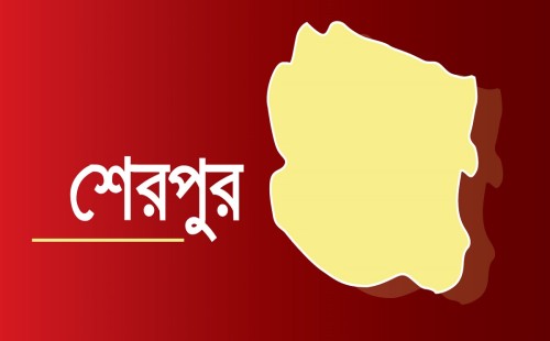 শেরপুরে আধিপত্য বিস্তার নিয়ে বিএনপি নেতাসহ ৩ জনকে কুপিয়ে আহত
