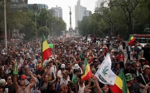 মেক্সিকোতে গাঁজা চাষ ও সেবনের বৈধতার দাবিতে বিশাল র‍্যালি