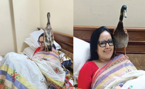 সরাইলে ব্যারিস্টার রুমিন ফারহানার হুঙ্কার: ‘ভোট চুরি রুখতে কেন্দ্র পাহারা দিন, হাঁস আমজনতার প্রতীক’